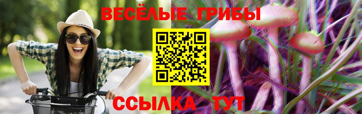 наркотики  Псилоцибиновые грибы Cubensis  Вход с VPN  Галлюциногенные грибы ЛСД  Тула 